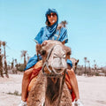 Agafay camel