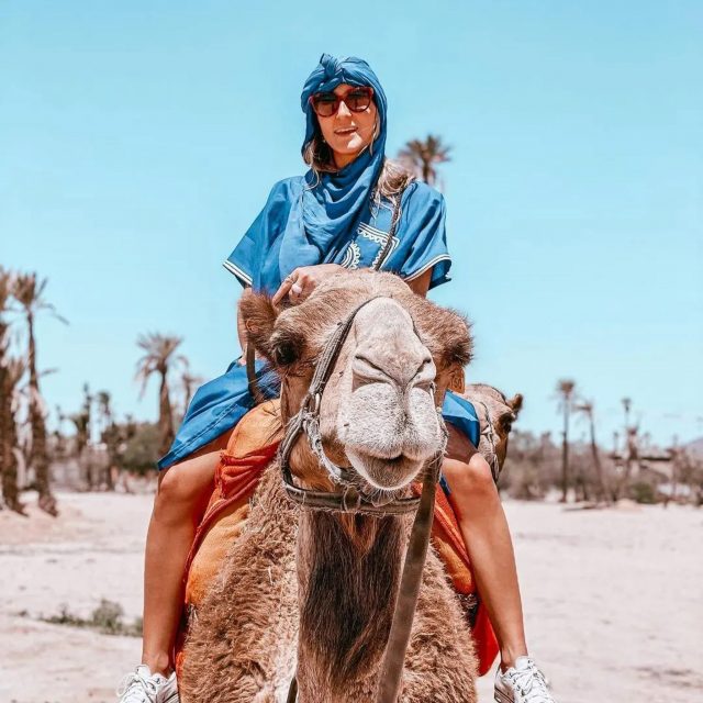 Agafay camel